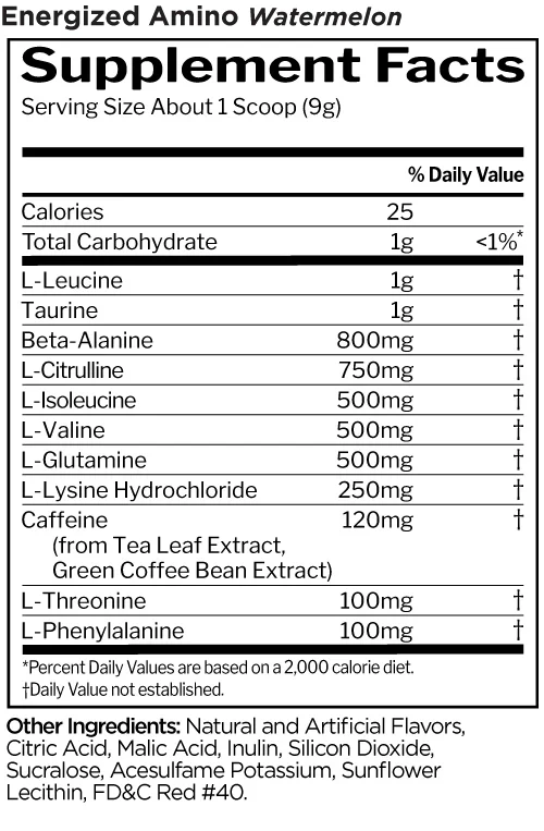 R1 Energized Amino by Rule 1 - Image 9